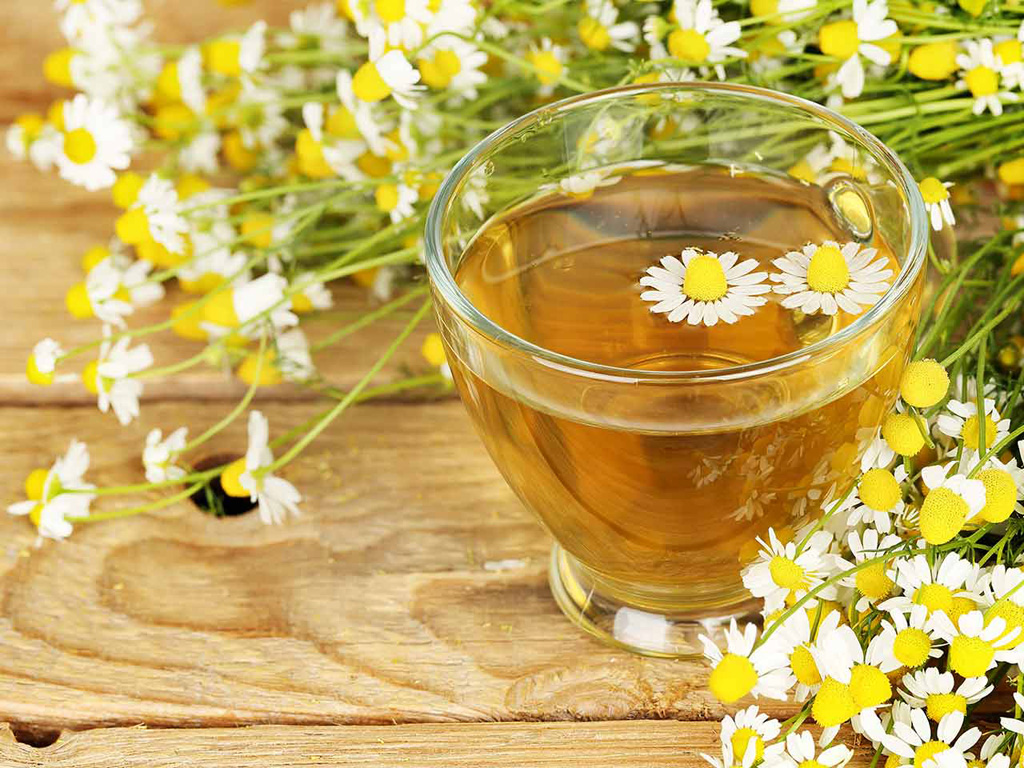 Uống trà hoa cúc trước khi ngủ giúp ngủ ngon - Ảnh: Shutterstock