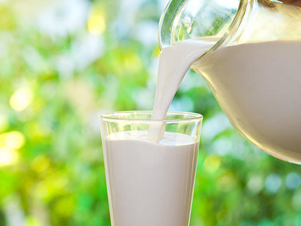 Sữa béo giúp ích cho sinh sản nữ giới - Ảnh: Shutterstock