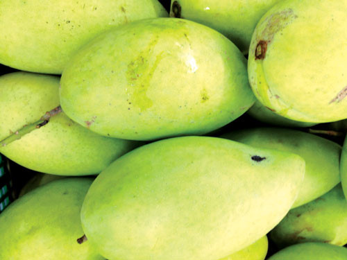 Sau quả vải thì xoài sẽ là loại trái cây thứ hai của VN được nhập khẩu vào Úc - Ảnh: Minh Khôi