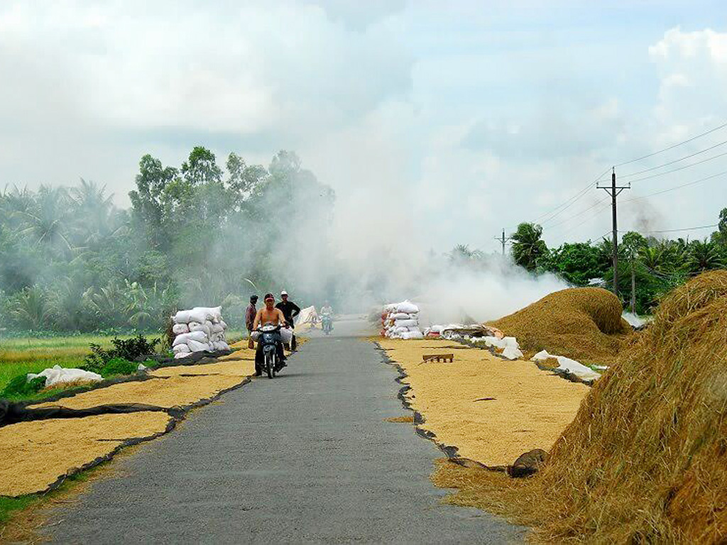 Phơi lúa trên đường thế này có thể gặp ở nhiều nơi - Ảnh: Nguyễn Thị Hải