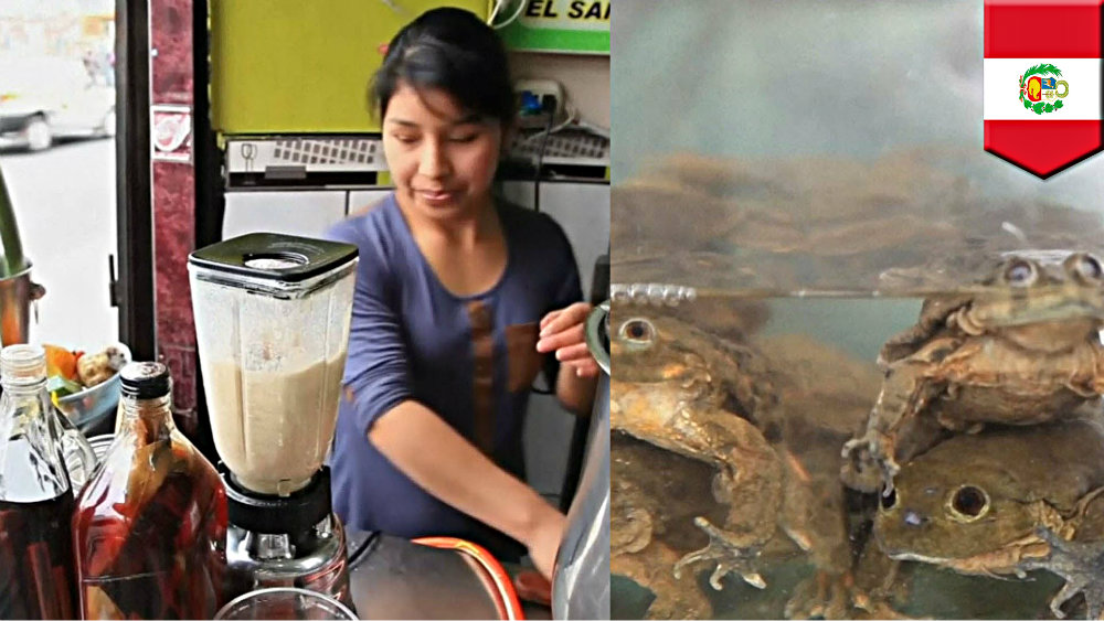 Sinh tố ếch giúp cải thiện “chuyện ấy” ở Peru - Ảnh chụp màn hình Youtube