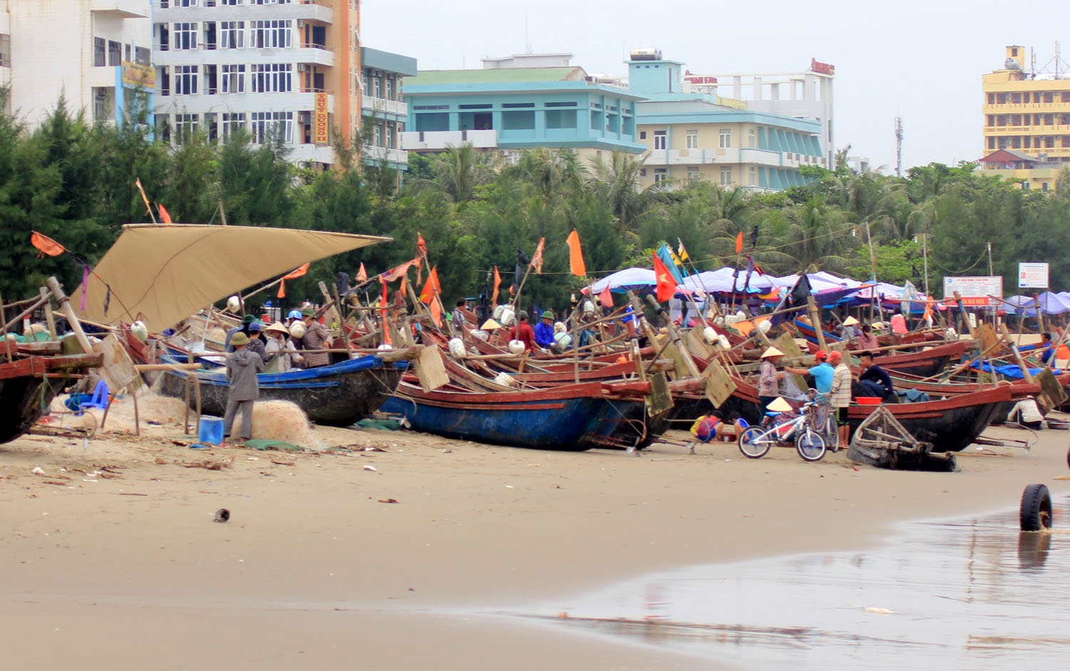 Ngư dân khai thác hải sản bằng bè mảng và thuyền thúng ở Sầm Sơn sẽ được hỗ trợ mua tàu mới - Ảnh: Ngọc Minh