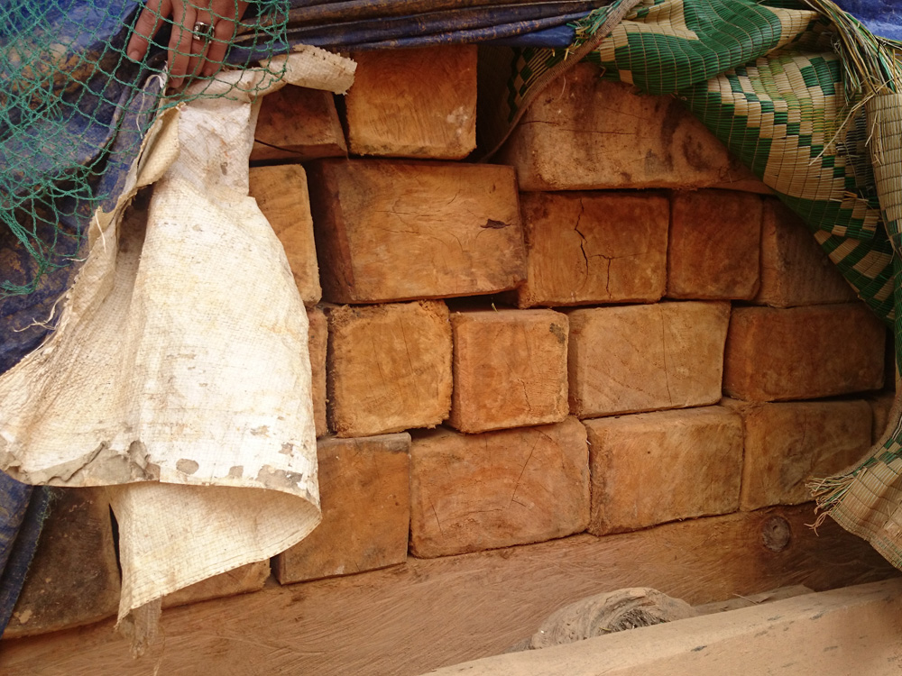 Hàng chục mét khối gỗ được tập kết tại nhà một đầu nậu 