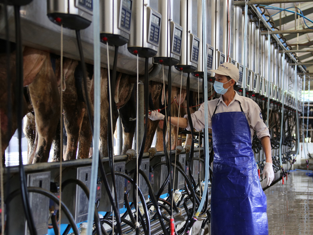 Kinh tế VN, đặc biệt là lĩnh vực nông nghiệp đứng trước nhiều cơ hội nhưng cũng đầy thách thức - Ảnh: Quang Thuần