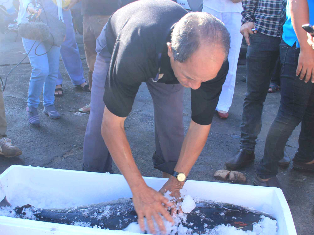 Ông Keigo Ebata hướng dẫn ngư dân Bình Định bảo quản cá ngừ