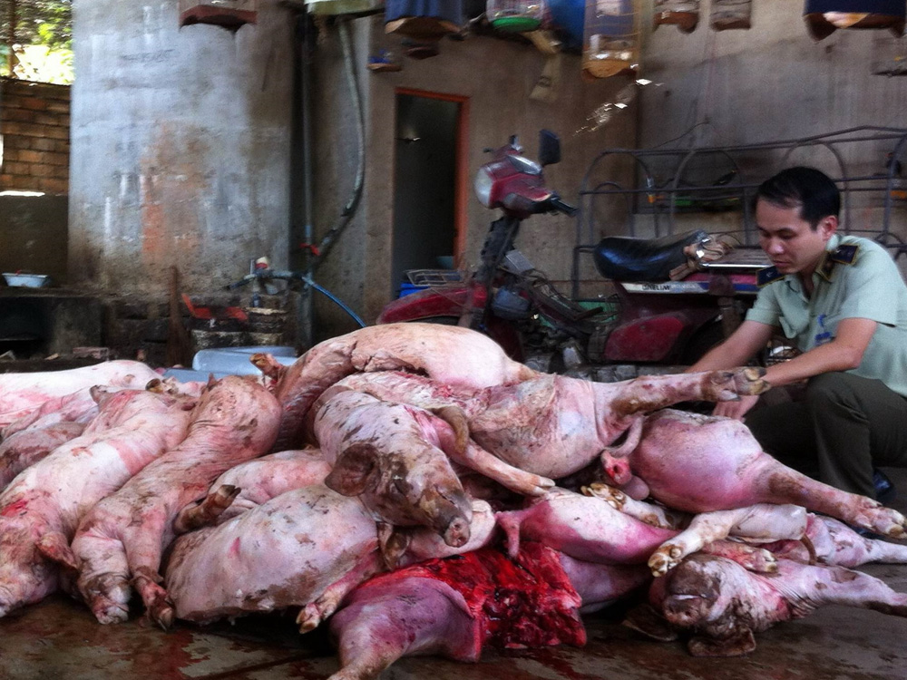 Một lò giết mổ lậu ở TP.Biên Hòa bị lực lượng chức năng phát hiện bắt quả tang - Ảnh: Lê Lâm
