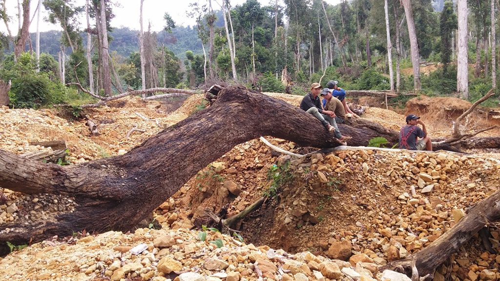 Rừng phòng hộ tan hoang do đào quặng trái phép - Ảnh: Nguyễn Chung