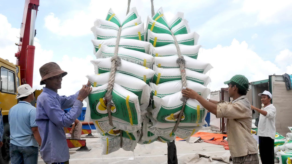 Xuất khẩu gạo tăng nhưng giá liên tục giảm - Ảnh: Diệp Đức Minh