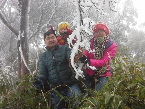 Băng tuyết phủ dày tại núi Phia Hoắc, Cao Bằng - Ảnh: Sĩ Đoàn