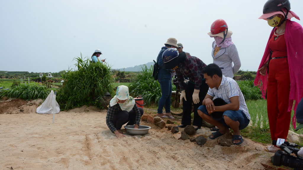 Du khách tham quan, học cách trồng tỏi - Ảnh: Phương Uy