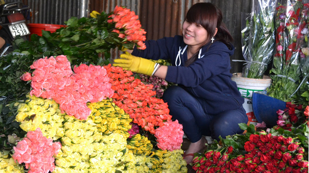 Bảo quản hoa sau thu hoạch của nông hộ còn yếu kém làm giảm giá trị sản phẩm - Ảnh: Lâm Viên