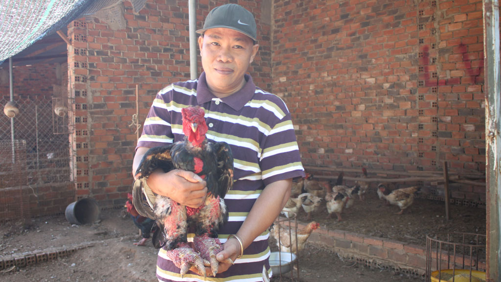 Anh Tuấn với con gà Đông Tảo có giá khoảng 10 triệu đồng - Ảnh: Tiểu Thiên
