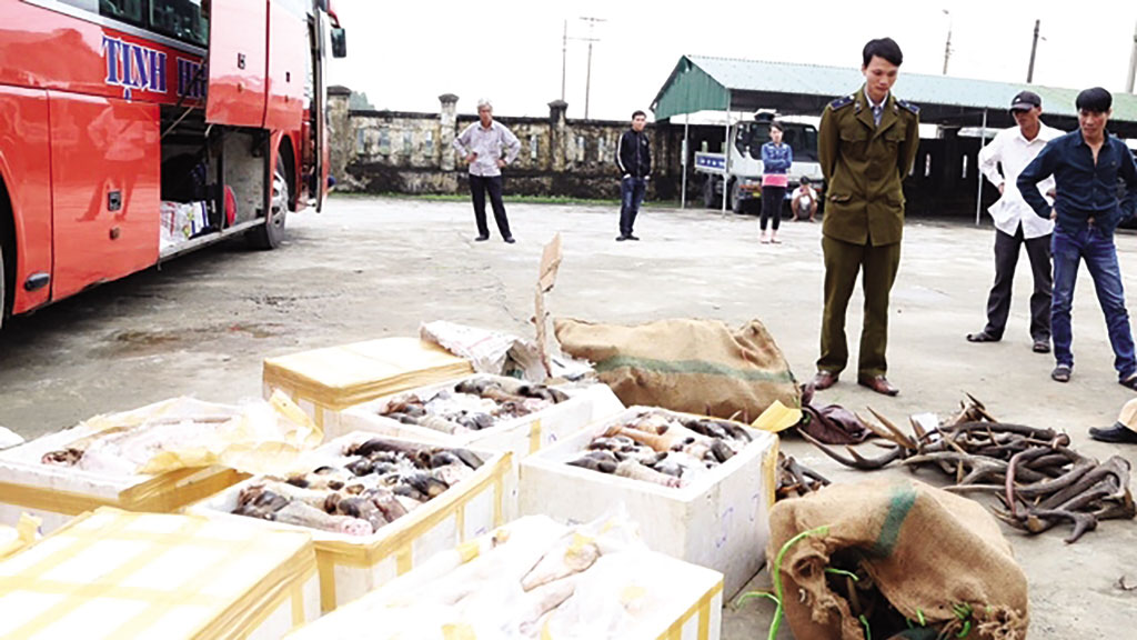 Lực lượng chức năng tỉnh Ninh Bình bắt giữ vụ vận chuyển nội tạng thối bằng xe tải - Ảnh: Đinh Dụng