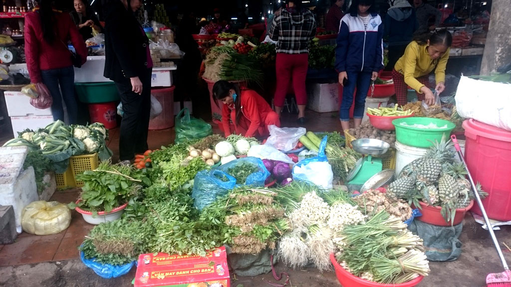 Những ngày đầu năm mới, không phải ai ở Quảng Trị cũng có tiền để... ăn rau, khi giá rau được đẩy lên quá cao - Ảnh: Nguyễn Phúc