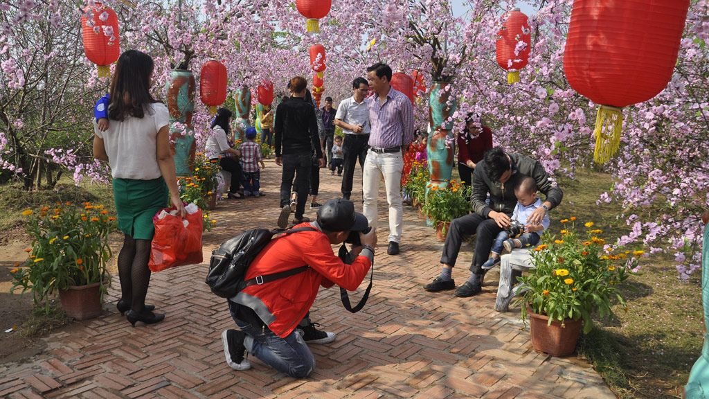 Người dân đổ xô đến chụp ảnh đầu năm tại các vườn hoa ở Nhật Tân - Ảnh: Bảo Hoàng