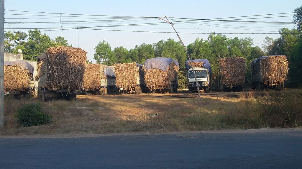 Các xe đều năm im bất động - Ảnh: Giang Phương