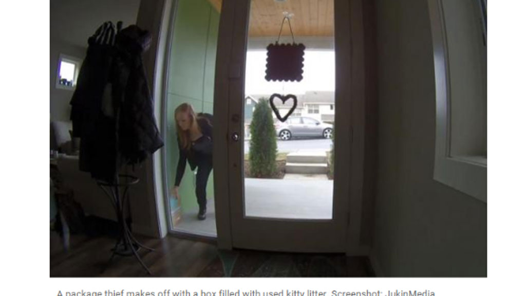 Kẻ trộm lấy chiếc hộp trước hiên nhà bà Megan Holt - Ảnh chụp màn hình UPI