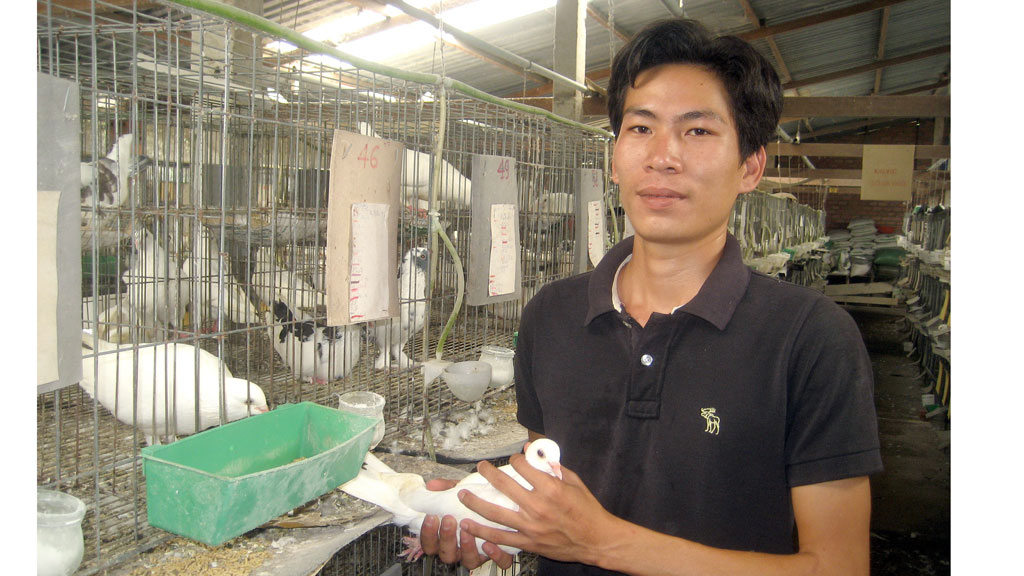 Trang trại nuôi bồ câu nổi tiếng của Nguyễn Ngọc Thức (31 tuổi), ngụ tại xã Tân Hạnh Tây, huyện Củ Chi (TP.HCM) với lợi nhuận mỗi tháng thu về hơn 50 triệu đồng, có xuất phát điểm từ nguồn vốn vay hỗ trợ cho thanh niên lập nghiệp của tổ chức Đoàn - Hội tại TP.HCM - Ảnh: Lê Thanh