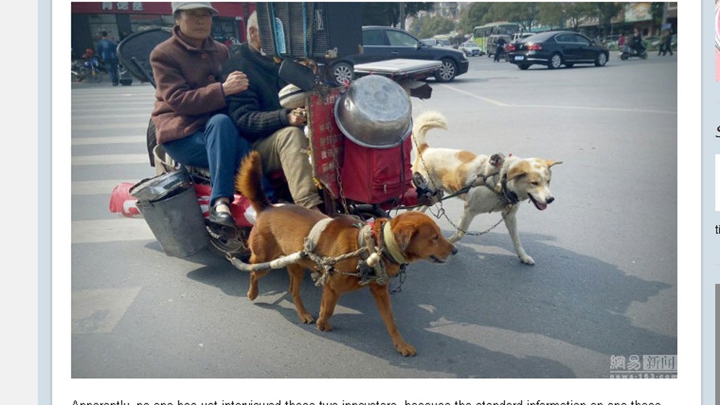 Vợ chồng già trên chiếc xe chó kéo - Ảnh chụp màn hình Shanghaiist