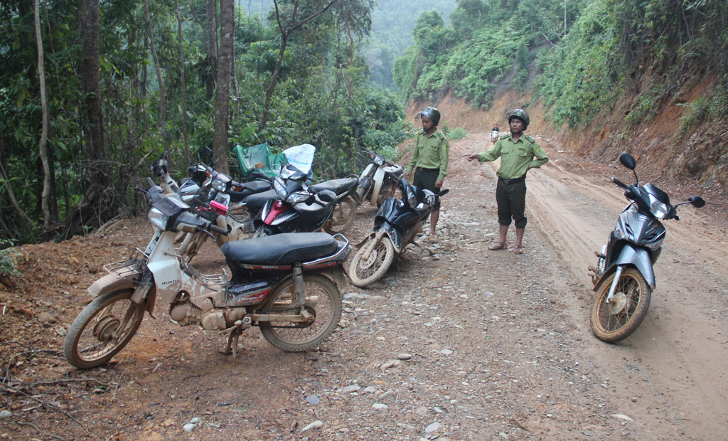 Các phương tiện xe máy lâm tặc bỏ lại trên đường để vào rừng Vườn quốc gia Bạch Mã khai thác gỗ trái phép - Ảnh: B.N.L