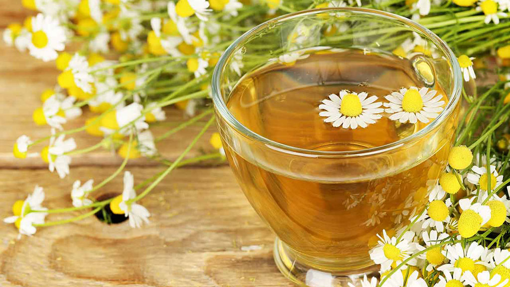 Trà hoa cúc gúp ích cho đường ruột - Ảnh: Shutterstock