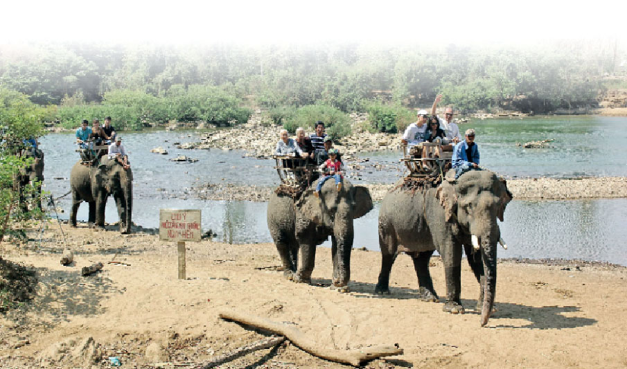 Đoạn sông Srêpôk này cần thêm nước để tổ chức lễ hội đua voi - Ảnh: Ngọc Quyền