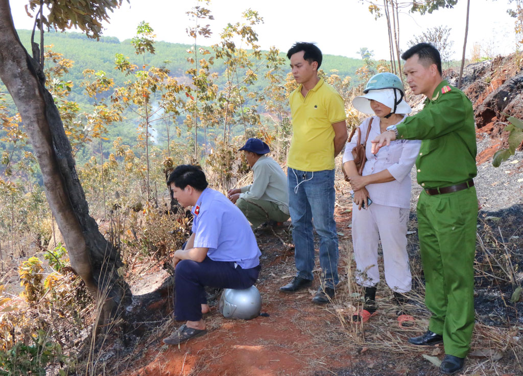 Khám nghiệm hiện trường và hiện trường vụ cháy vườn cao su của gia đình bà Vương Thị Lân - Ảnh: Văn Tuyên