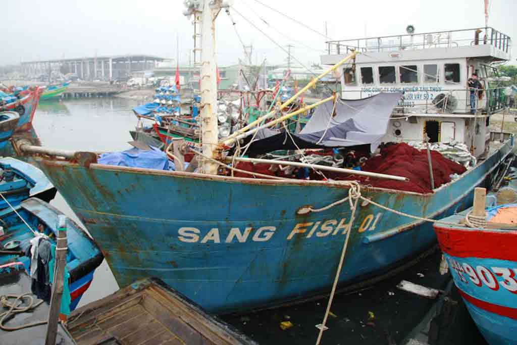 Ngư dân nên chỉnh sửa thiết kế phù hợp nghề khai thác và thép chất lượng để đóng tàu - Ảnh: Nguyễn Tú