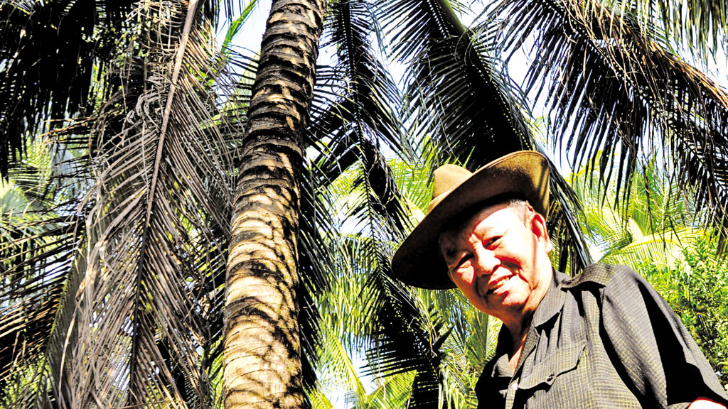 Đại tướng Lê Văn Dũng sau khi nghỉ hưu, về quê Phong Mỹ trồng dừa và các loại cây ăn trái - Ảnh: M.T.H