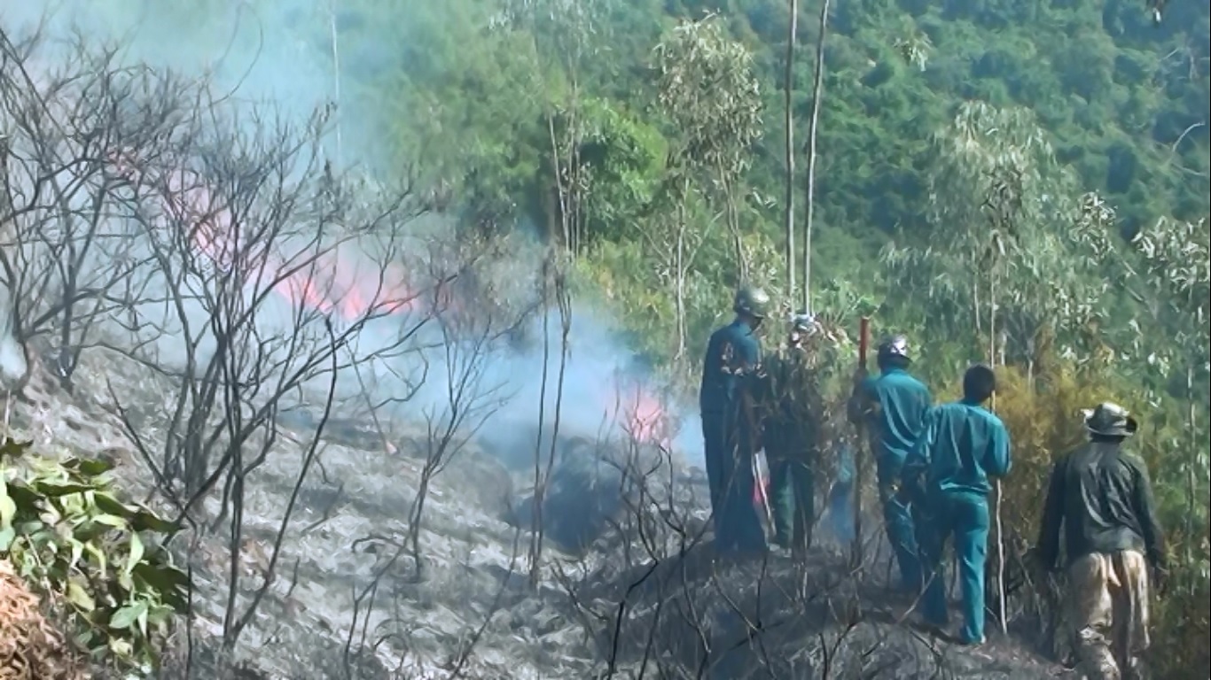 Đà Nẵng đã xảy ra 3 vụ cháy rừng liên tiếp trong vài ngày qua - Ảnh: Nguyễn Tú 