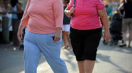 Tỷ lệ béo phì và ung thư đã tăng nhanh - Ảnh: Shutterstock