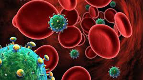 Các nhà khoa học tin rằng có thể loại bỏ virus HIV khi mới thâm nhập vào cơ thể - Ảnh: shutterstock