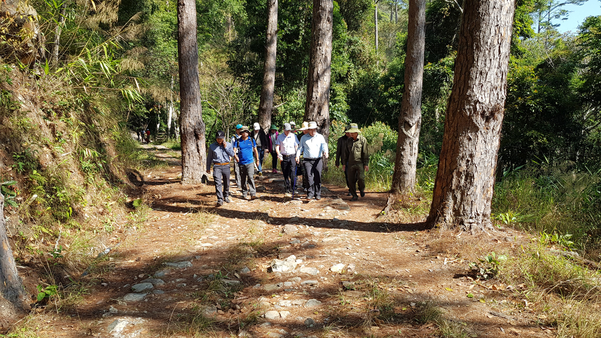 Du khách sẽ có nhiều trải nghiệm thú vị với tuyến du lịch lội rừng Núi Voi - Làng Gà