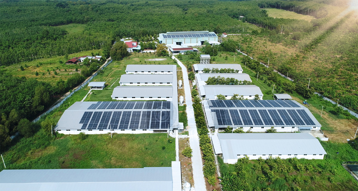 DAT Solar cung cấp thiết bị toàn diện cho dự án 600kWp ở Trang trại Phạm Văn Dương 