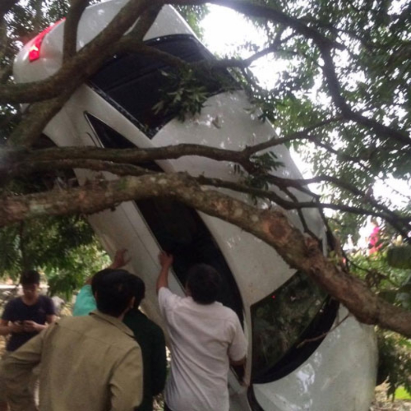 Xe ô tô mắc kẹt trên cây sau vụ tai nạn - Ảnh: Vũ Minh