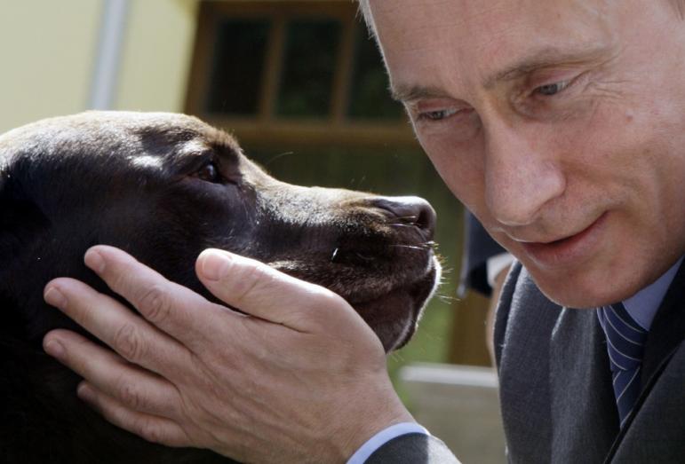 Lịch năm mới 2016 ở Nga in hình Tổng thống Nga Vladimir Putin - Ảnh: Reuters
