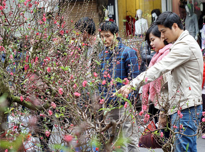 Người dân Hà Nội đi mua  hoa đào đón tết - Ảnh:Ngọc Thắng