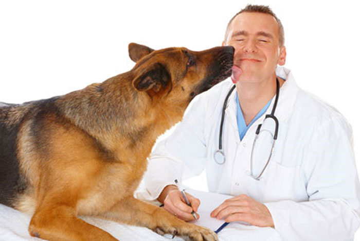 Yêu thương và chăm sóc tận tình cho bệnh nhân là phẩm chất cần có ở mỗi bác sĩ, dù là bác sĩ thú y - Ảnh minh họa: Shutterstock