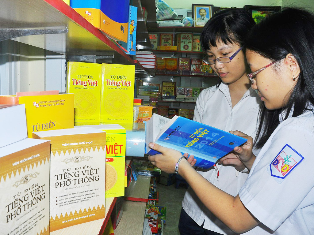 Nhiều cuốn từ điển dành cho học sinh kém chất lượng bày bán tràn lan trên thị trường - Ảnh: Ngọc Thắng
