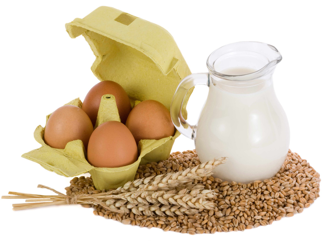 Trứng, sữa, ngũ cốc, ớt chuông, cam... hỗ trợ tốt trong “cuộc chiến” chống căng thẳng - Ảnh: Hạ Huy - Shutterstock