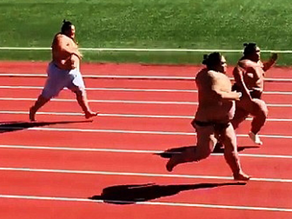 Các võ sĩ sumo đang chạy nước rút về đích - Ảnh chụp màn hình Daily Mail