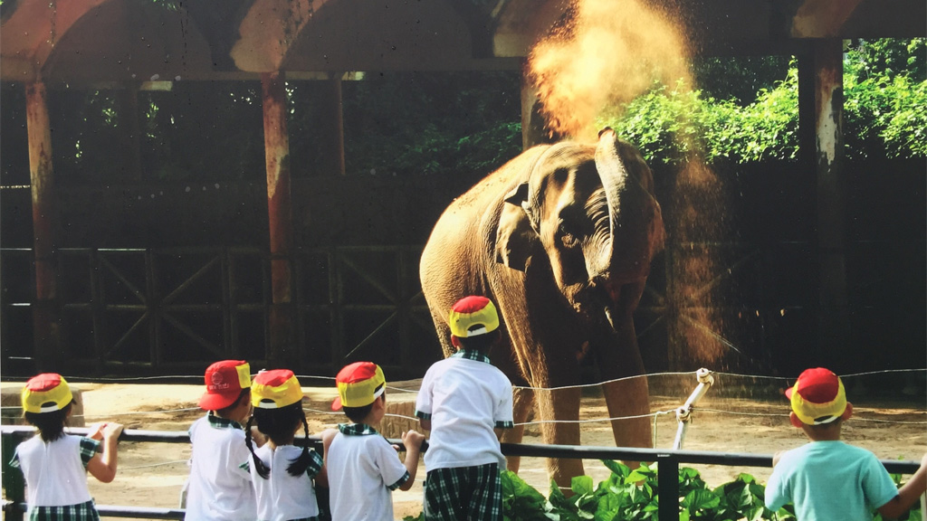Trẻ em xem thú ở Thảo cầm viên - Ảnh: Tư liệu của Thảo cầm viên Sài Gòn