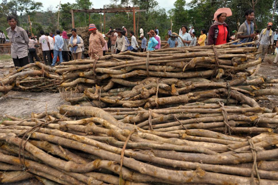Nông dân Campuchia từ các tỉnh đến xem gỗ tại Koh Kong tháng 5.2014 - Ảnh: Reuters