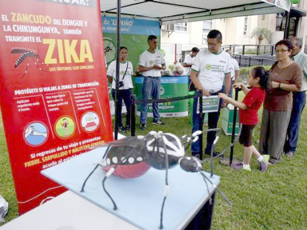 Mô hình con muỗi bên cạnh thông tin tuyên truyền về vi rút Zika tại Bộ Y tế Peru ở Lima, Peru ngày 27.1.2016 - Ảnh: Reuters