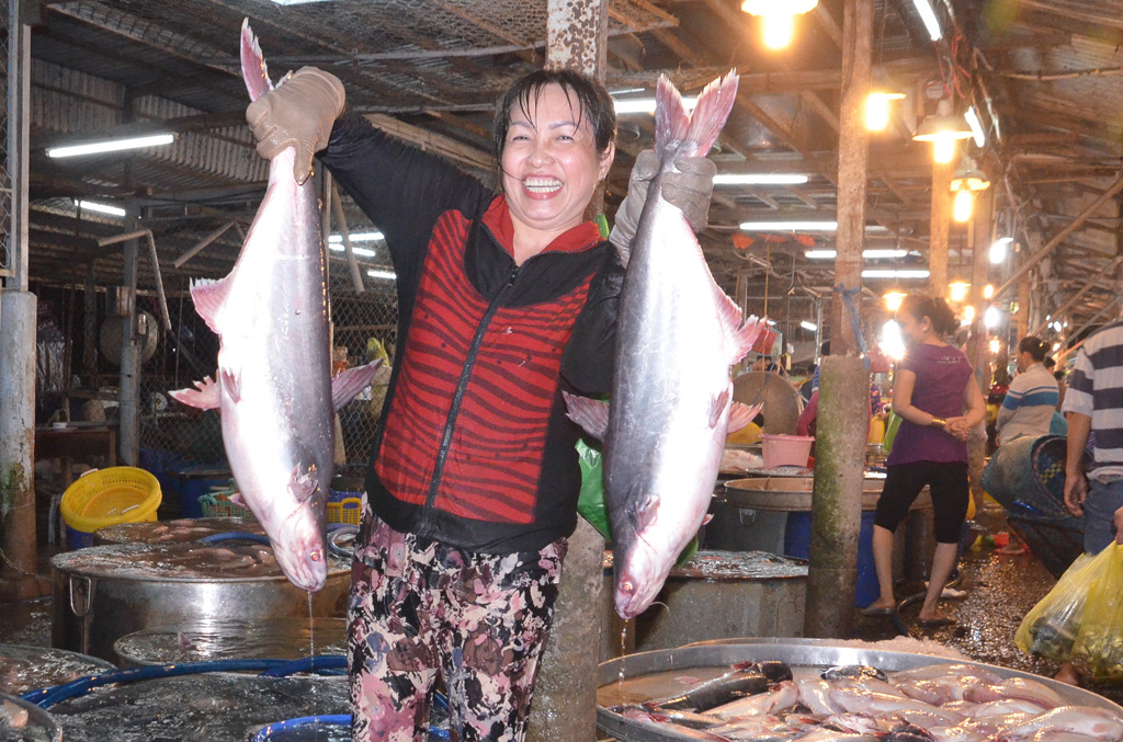 Chị Võ Thị Hết vất vả phân loại những con cá tra từ 4 – 5kg