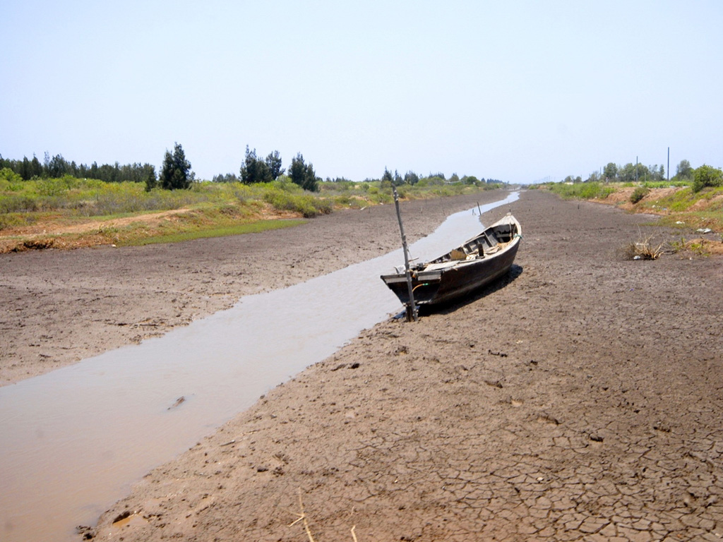 Khô hạn, xâm nhập mặn ở Đồng bằng Sông Cửu Long - Ảnh: Công Hân