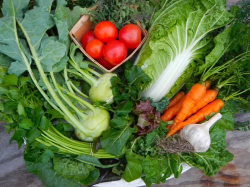 Các loại rau có lá màu xanh đậm giúp bạn có thị lực tốt hơn - Ảnh: Shutterstock