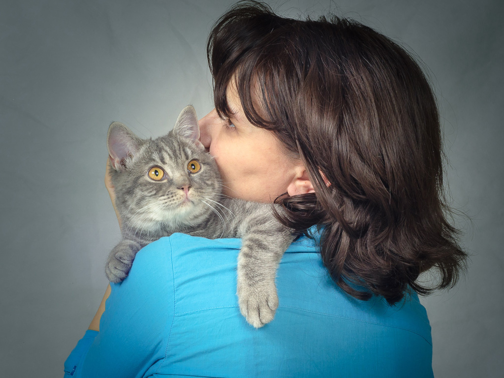 Nên thận trọng khi nuôi và chăm sóc mèo - Ảnh: Shutterstock