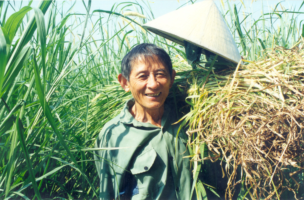 Anh hùng lao động Hồ Giáo - Ảnh: Trần Đăng