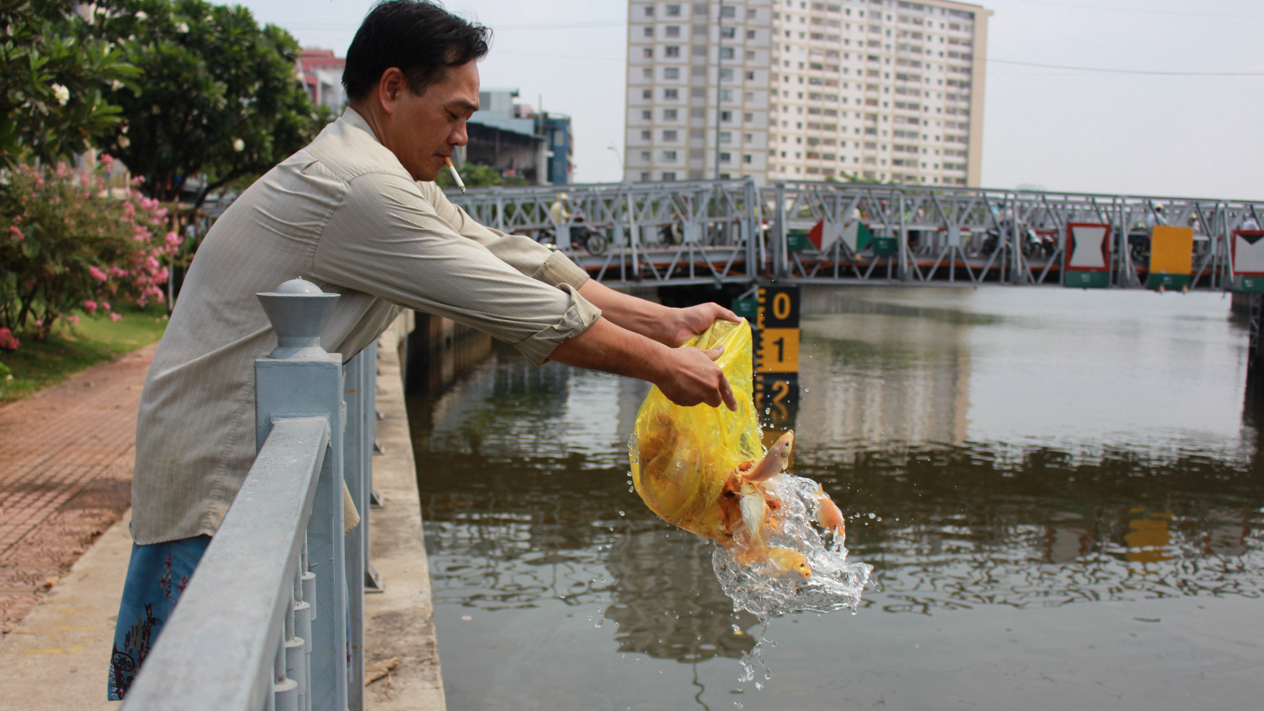 Người dân 'ném' cá trên kênh Nhiêu Lộc - Ảnh: Vũ Phượng